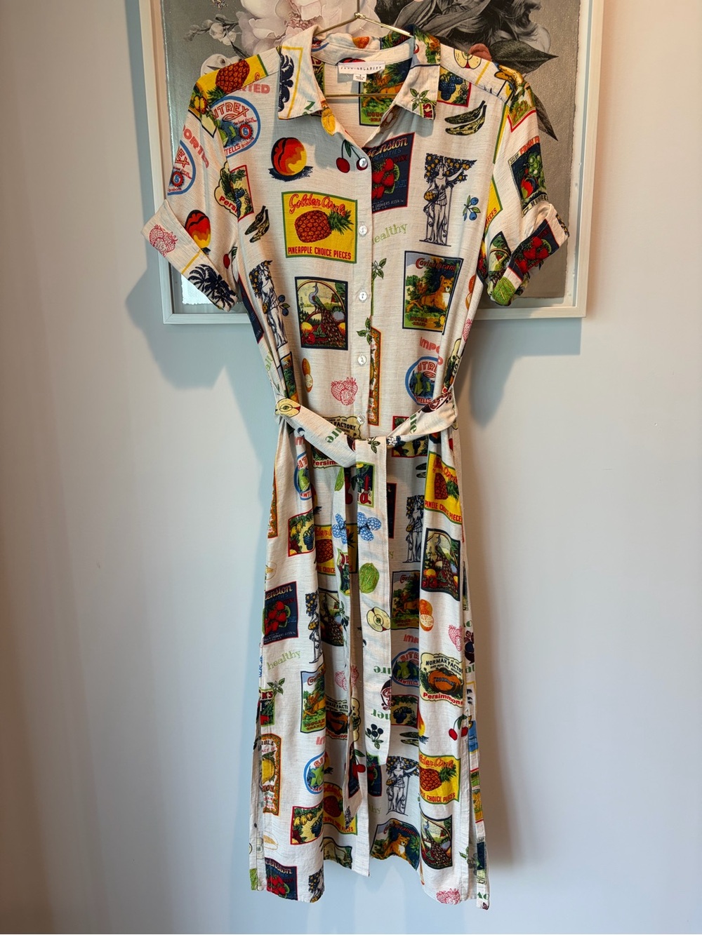 Jane+Delancey Women’s Tropical Fruit Print Linen Blend Shirt Belted Dress Small